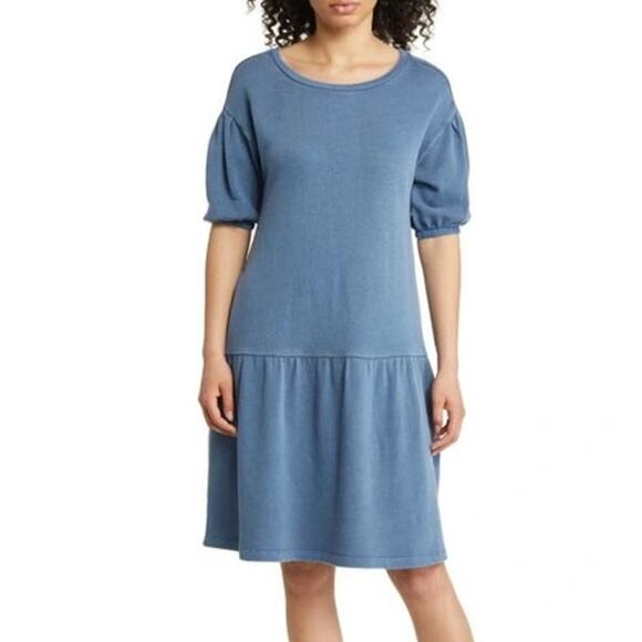 Caslon Short Sleeve Drop Waist Blue Short Sleeve Pockets Womens Dress Small - Picture 1 of 9